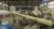 Первые самолеты SSJ-NEW в цехе окончательной сборки филиал «Региональные самолеты» корпорации «Иркут» в Комсомольске-на-Амуре, март 2023 г. Кадр из репортажа телепрограммы «Вести. Хабаровск»